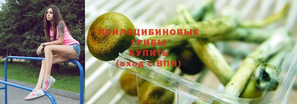 спайс Дмитров