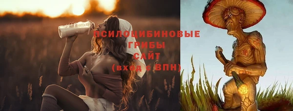спайс Дмитров