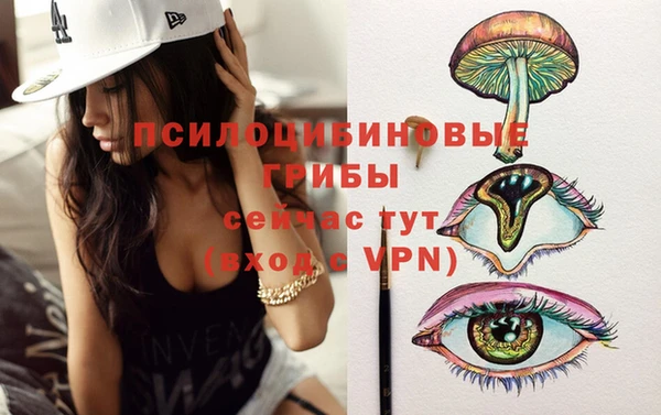 спайс Дмитров